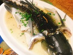 -园林美食城·本土农家菜(杨和镇店)