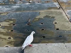 -星海广场