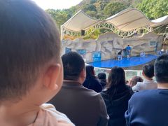 -泉州海丝野生动物世界