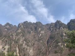 -王顺山国家森林公园