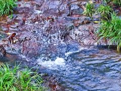-宁波浙东大竹海景区