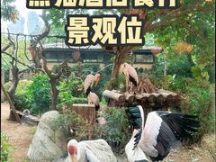 -熊猫自助餐厅.萌趣城堡(长隆熊猫酒店)