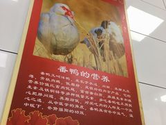 -斯丹姜母鸭·古法干香(田安南路店)