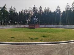 -上海海湾国家森林公园