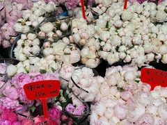 -循礼门鲜花花市(武汉循礼门店)