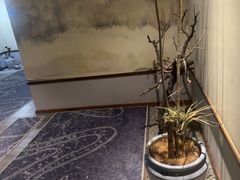 -鼎族怡华·指压·经络·疗愈SPA(紫荆店)
