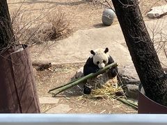 -沈阳森林动物园
