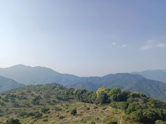 -广州市石门国家森林公园