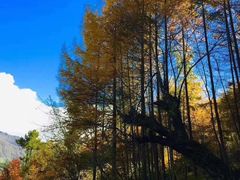 -硗碛藏寨·神木垒景区