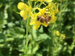 -长春公园(普阳街道)