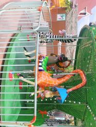 -宝燕乐园(闵行旗舰店)