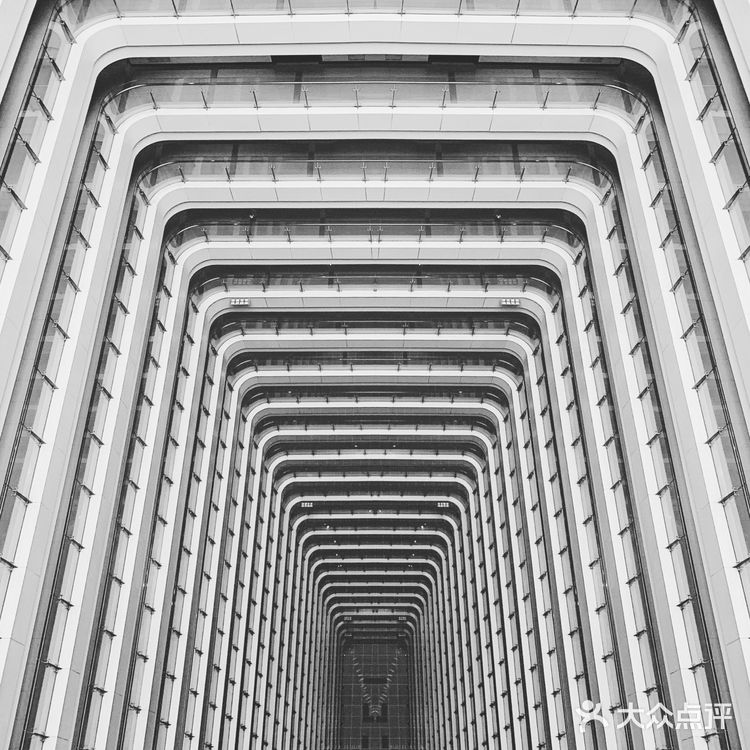 成都拍照| IFS的大熊猫屁屁你还没拍腻嘛?