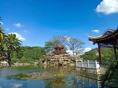 -顺峰山公园
