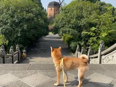 -成都南湖公园