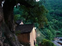 -杨家堂村