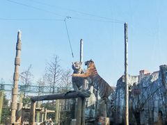 -上海野生动物园
