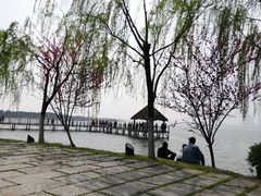 -瑶湖郊野森林公园