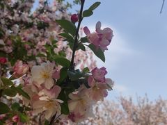 -元大都城垣遗址公园