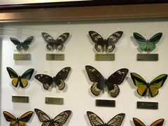 -上海昆虫博物馆