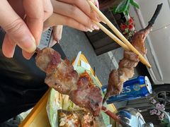 -艾力江和田馕坑烤肉店