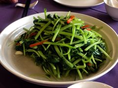 蒜炒芥菜-绍兴饭店知遇楼(环山路店)