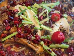 -老板恋上鱼(恒隆广场店)