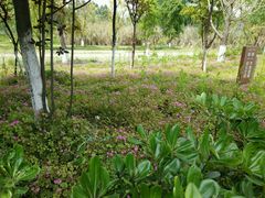 -白鹭湾湿地公园