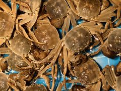 -星伦多自助料理(江阴万达店)