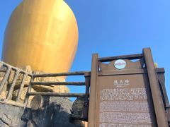 -金子山原生态旅游风景区