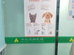 -半岛宠物医院24小时(科华中路店)