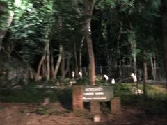 -清迈夜间动物园