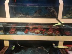 -原龙海鲜大排档(美食地标店)
