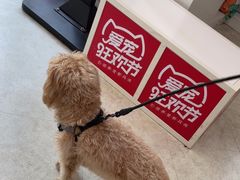 -纳吉亚猫专科动物医院·北北分院