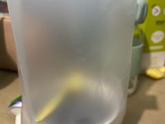 -清真马记宫廷奶酪(农光里店)