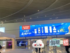 -青岛胶东国际机场
