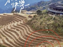 -龙脊梯田