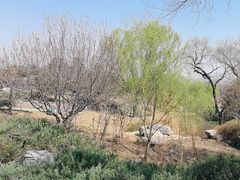 -北京西山国家森林公园