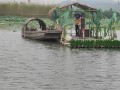 -江门古劳水乡旅游区