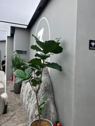 -3AM·S HAIR SALON烫发染发接发