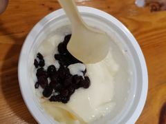 双皮奶-三元梅园(新源里店)