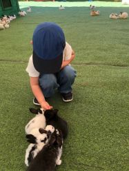 -萌宠亲子动物乐园(槐房万达店)