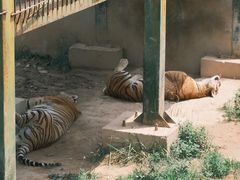 -中华郡文化旅游景区