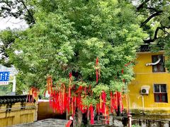 -宝通禅寺