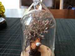 -碧露轩·大益茶体验馆(镇江路店)