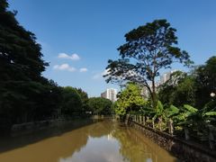 -晓港公园