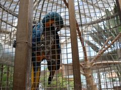 -南宫五洲植物乐园