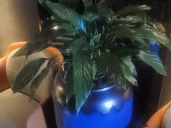 -番茄按摩·影院足道·柔足SPA