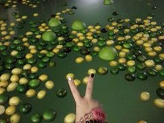 -天目湖涵田半山温泉