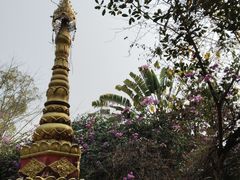 -瑞丽独树成林风景区