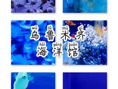 -乌鲁木齐海洋馆